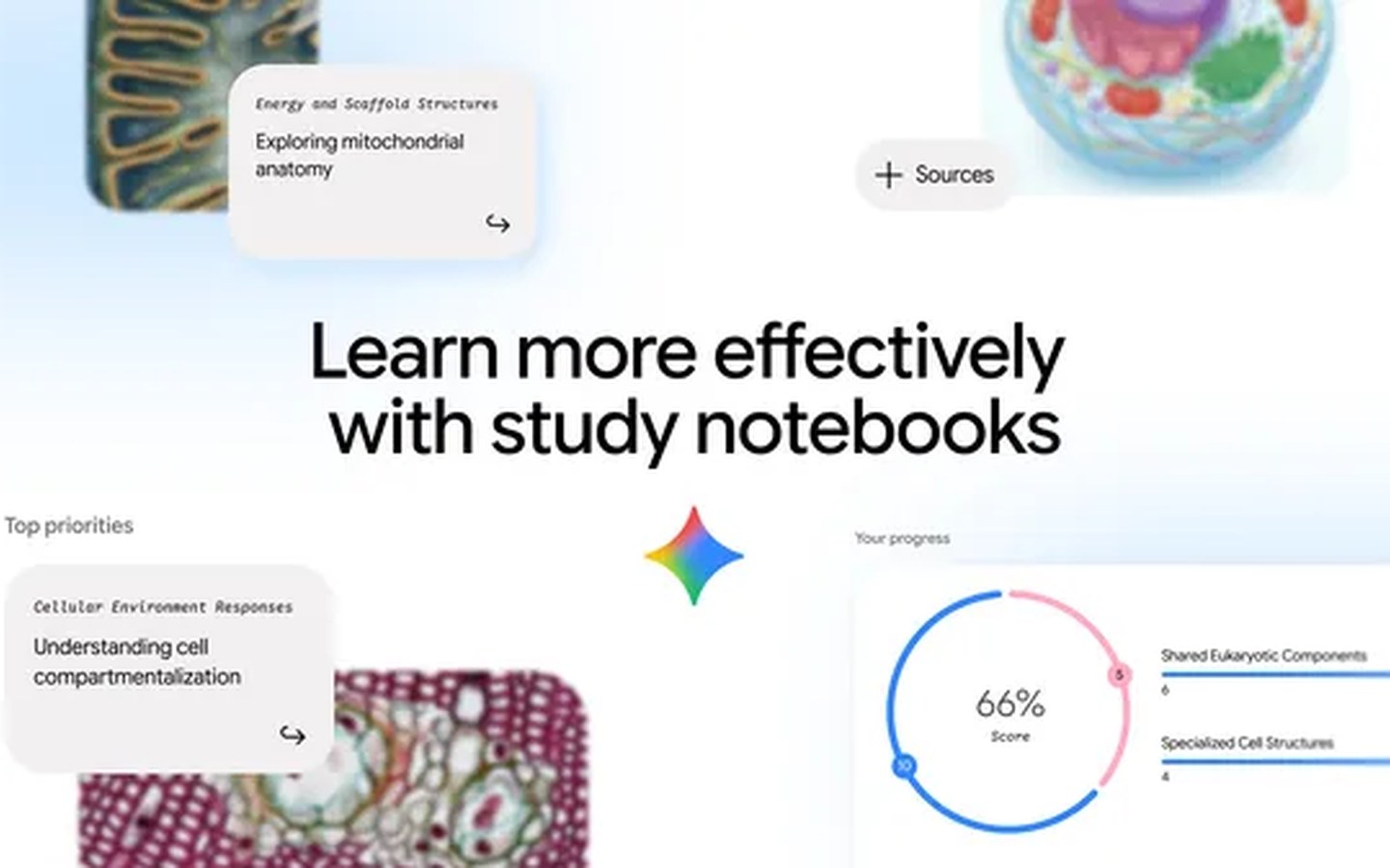 Article image for 5 ways to learn with study notebooks in the Gemini app