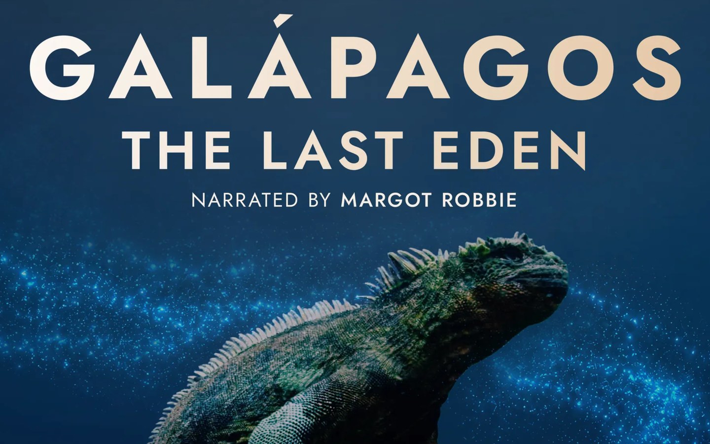 Article image for Galápagos: The Last Eden Is An Android XR Interactive Wildlife Experience