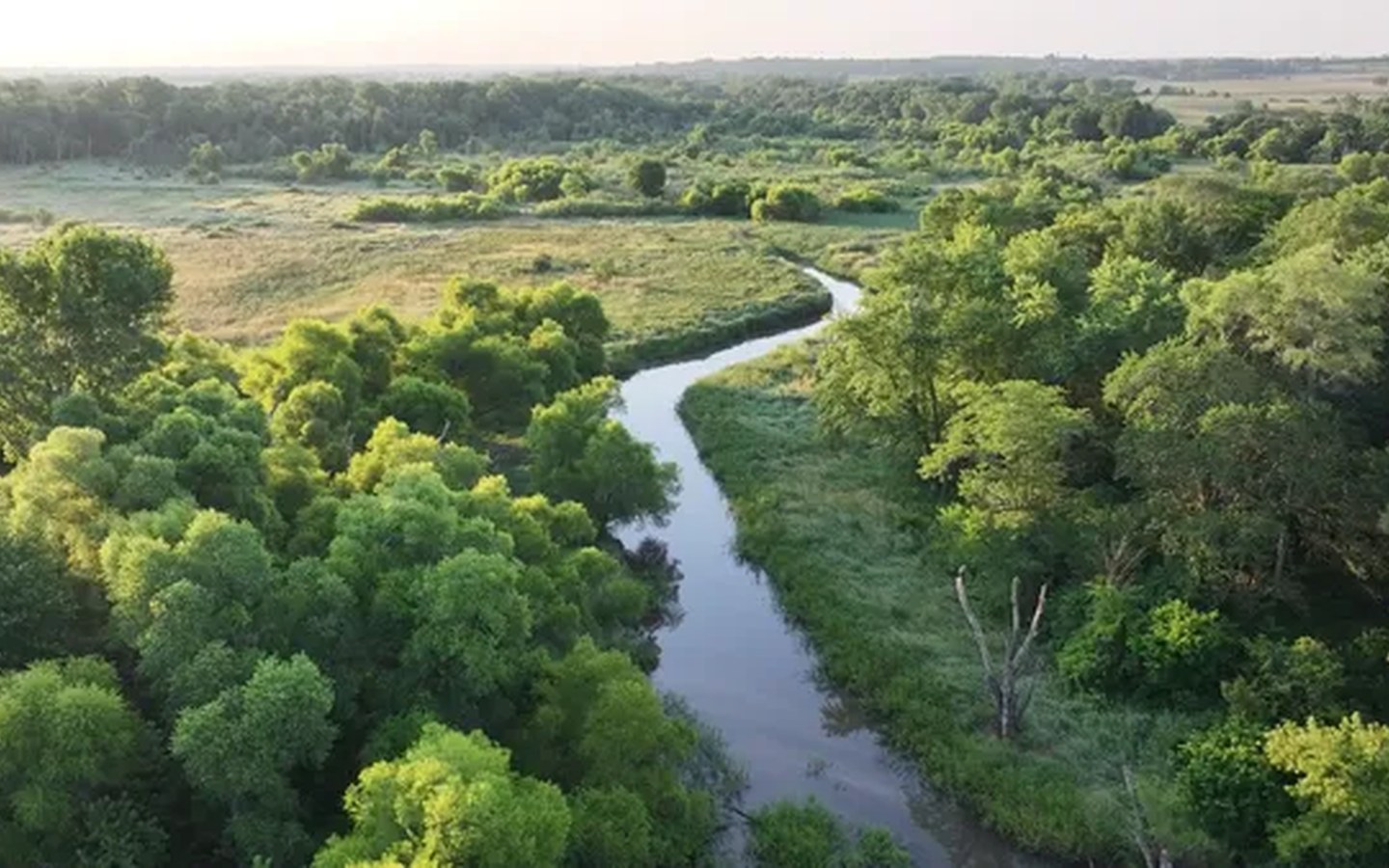 Article image for Google’s water stewardship commitments for local communities