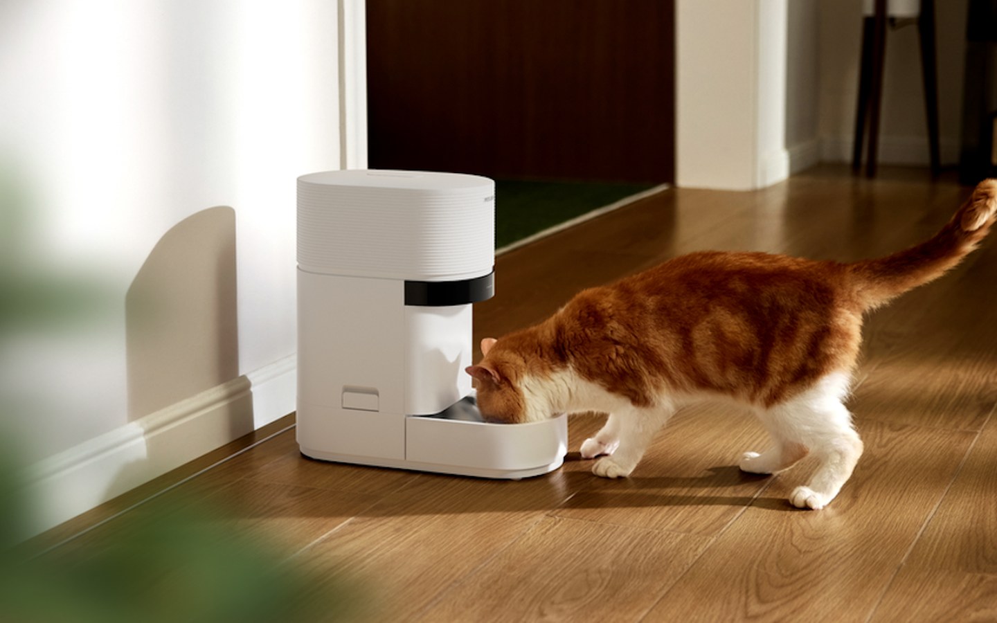 Article image for Petlibro’s Granary 2 AI Feeder: Scale, Camera, and Subscription Costs