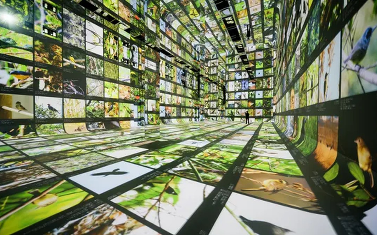 Article image for The Living Canvas: Inside Dataland, the World’s First AI Art Museum
