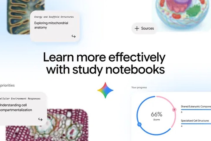 Article image for 5 ways to learn with study notebooks in the Gemini app