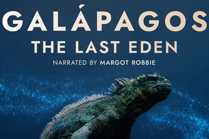 Article image for Galápagos: The Last Eden Is An Android XR Interactive Wildlife Experience