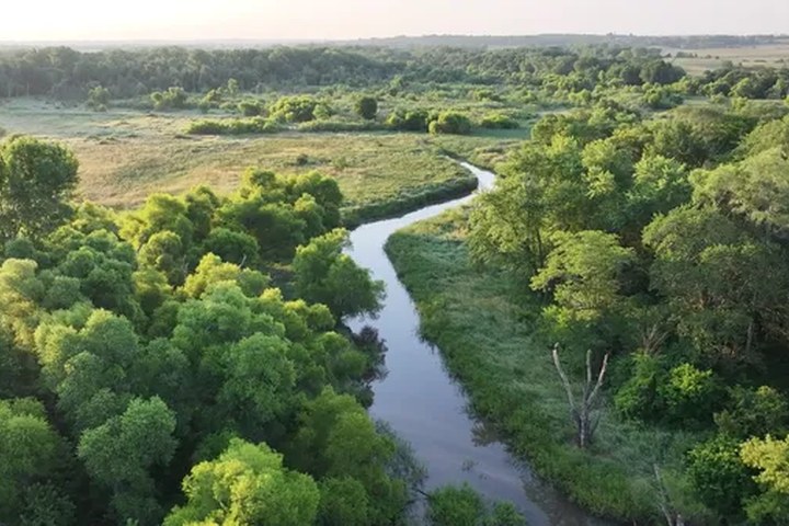 Article image for Google’s water stewardship commitments for local communities