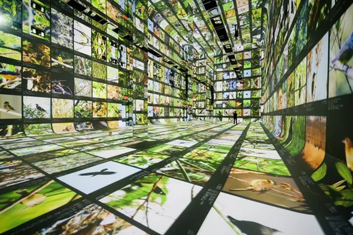 Article image for The Living Canvas: Inside Dataland, the World’s First AI Art Museum
